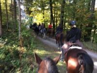 320576b8-292a-4a64-81a7-90d3582c34a0