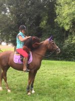 WhatsApp_Image_2019-09-22_at_18.58.57-2