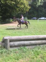 WhatsApp_Image_2019-09-22_at_18.58.58