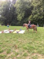 WhatsApp_Image_2019-09-22_at_18.58.59-2