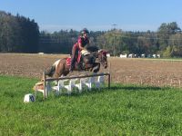 WhatsApp_Image_2019-10-28_at_11.58.29