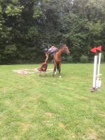 70ac7a34-587b-4257-bca2-f9914f8a1745