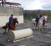 35fef93c-19ef-409e-a5ed-b64c678d678d